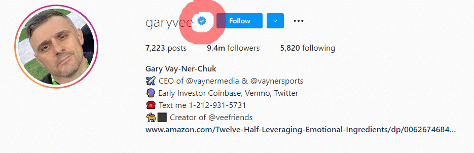 @garyvee Instagram verified badge